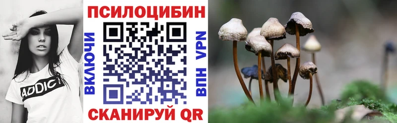 kraken Черемхово Псилоцибиновые грибы GOLDEN TEACHER купить